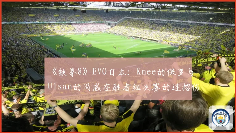 《铁拳8》EVO日本:Knee的保罗与Ulsan的冯威在胜者组决赛的连招伤害构成分析