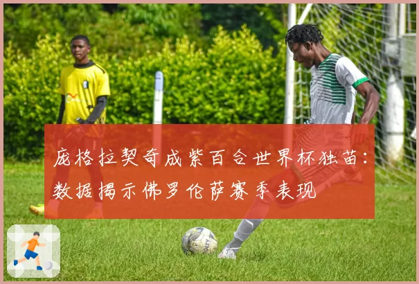 庞格拉契奇成紫百合世界杯独苗:数据揭示佛罗伦萨赛季表现