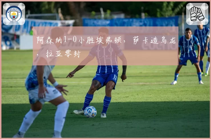 阿森纳1-0小胜埃弗顿,萨卡造乌龙,拉亚零封