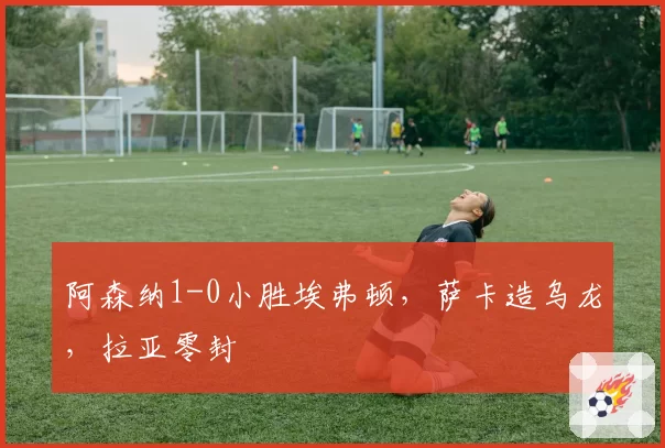 阿森纳1-0小胜埃弗顿,萨卡造乌龙,拉亚零封